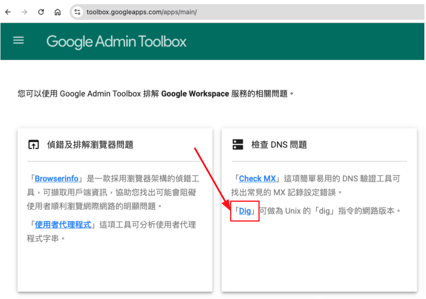 前往 Google Admin Toolbox Dig 功能