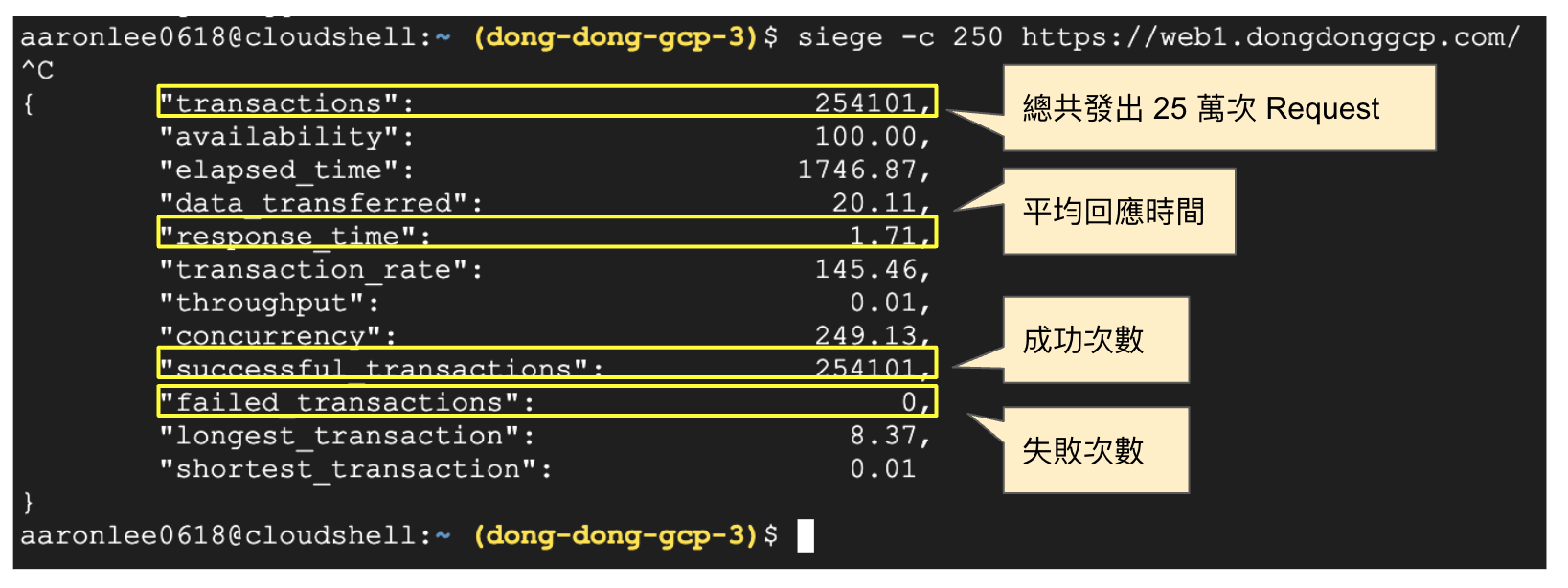 確認 Siege 發送的 Request 數量統計
