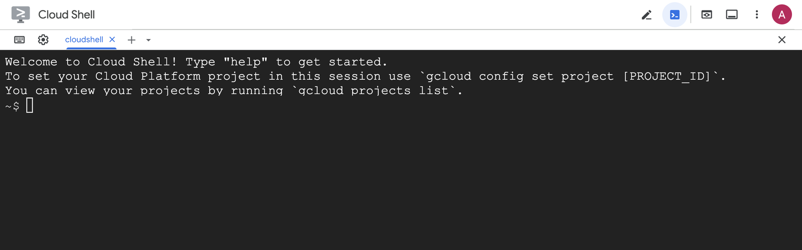 Cloud Shell 打開後的終端機畫面，沒有設定任何專案也能使用 Docker