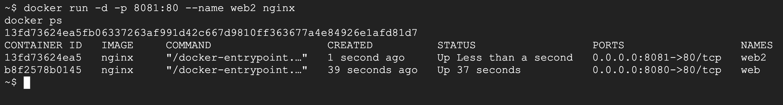 用同一個 nginx 映像檔開第二個容器 web2，docker ps 顯示兩個容器同時在跑