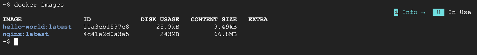 Docker 29 的 docker images 新格式，欄位是 IMAGE、ID、DISK USAGE、CONTENT SIZE、EXTRA